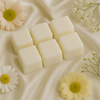 Kitchen Counter Wax Melts – Tomato Leaf & Fresh Garden Herbs | 6oz Coconut Wax Clamshell | Clean & Herbal Scent for the Home